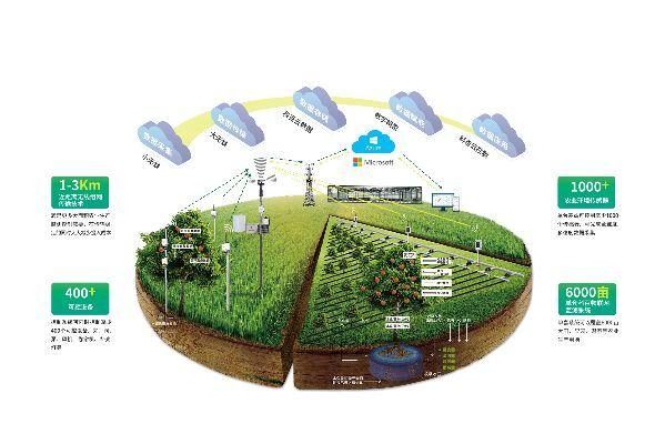 独家专访|科百科技副总裁刘枫 农业物联网的破与立与物联网技术研发